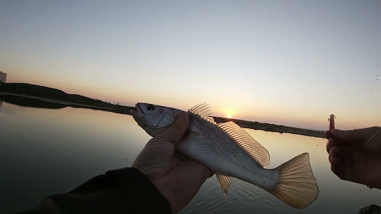 Blue Lagoon Sunrise Fishing