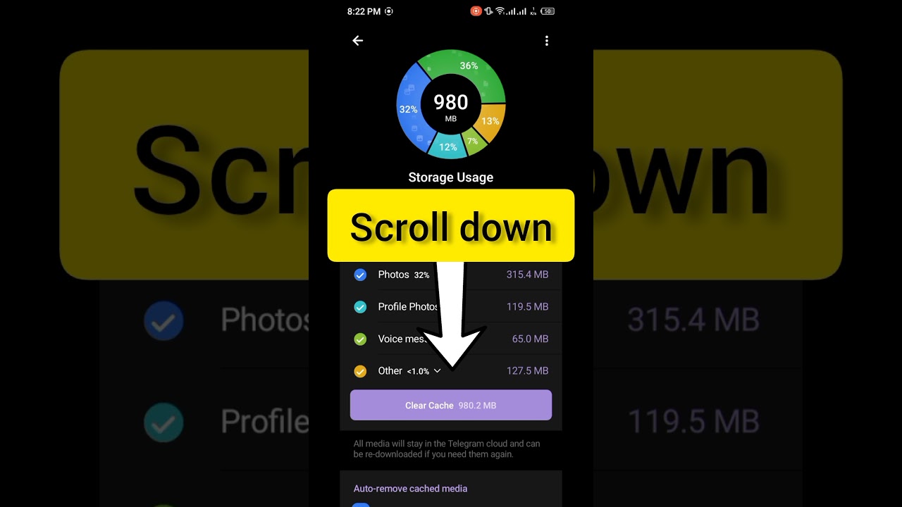 How to see downloaded files in Telegram