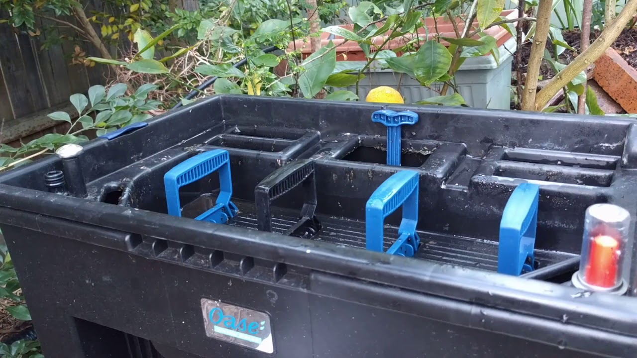 Oase Biosmart 18000 Pond Filter - 12 months on