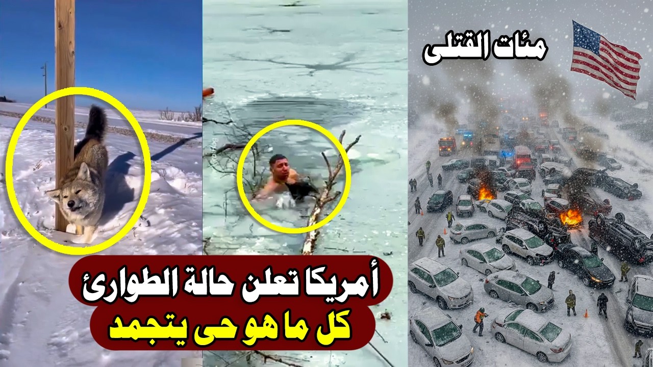 عاجل | كل ما هو حي يتجمد… إعصار ثلجي مُدمر يضرب أمريكا ويحول نيويورك بسكانها لكتلة جليدية مميتة