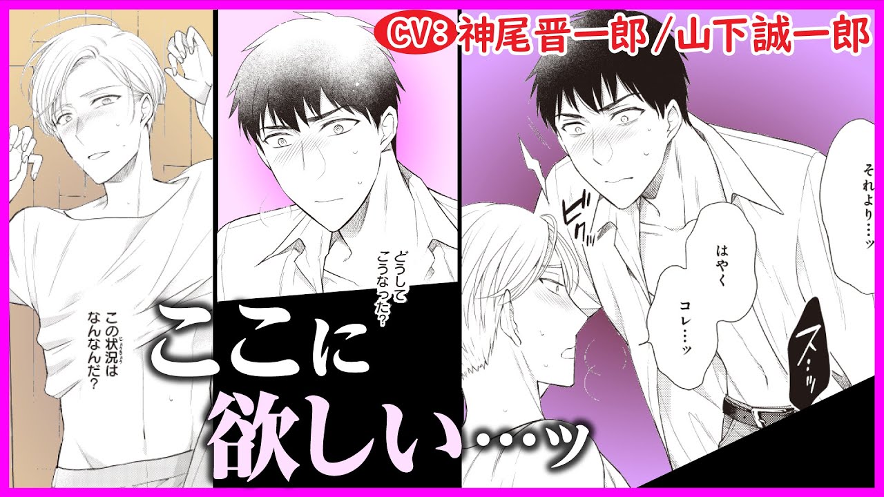 【BL】ヒートで我を失った片思い相手に求められて…【Ωに堕ちたα様3】【神尾晋一郎／山下誠一郎】