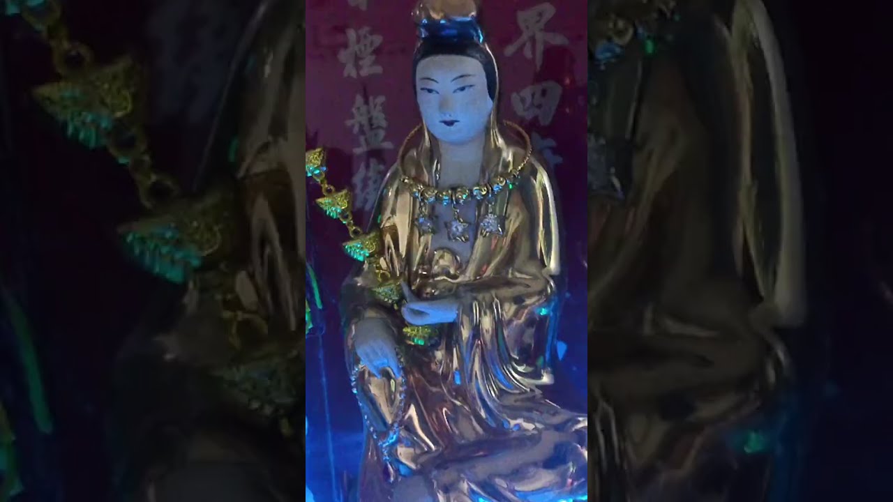 ✨ 祈島品普門紀跪維 