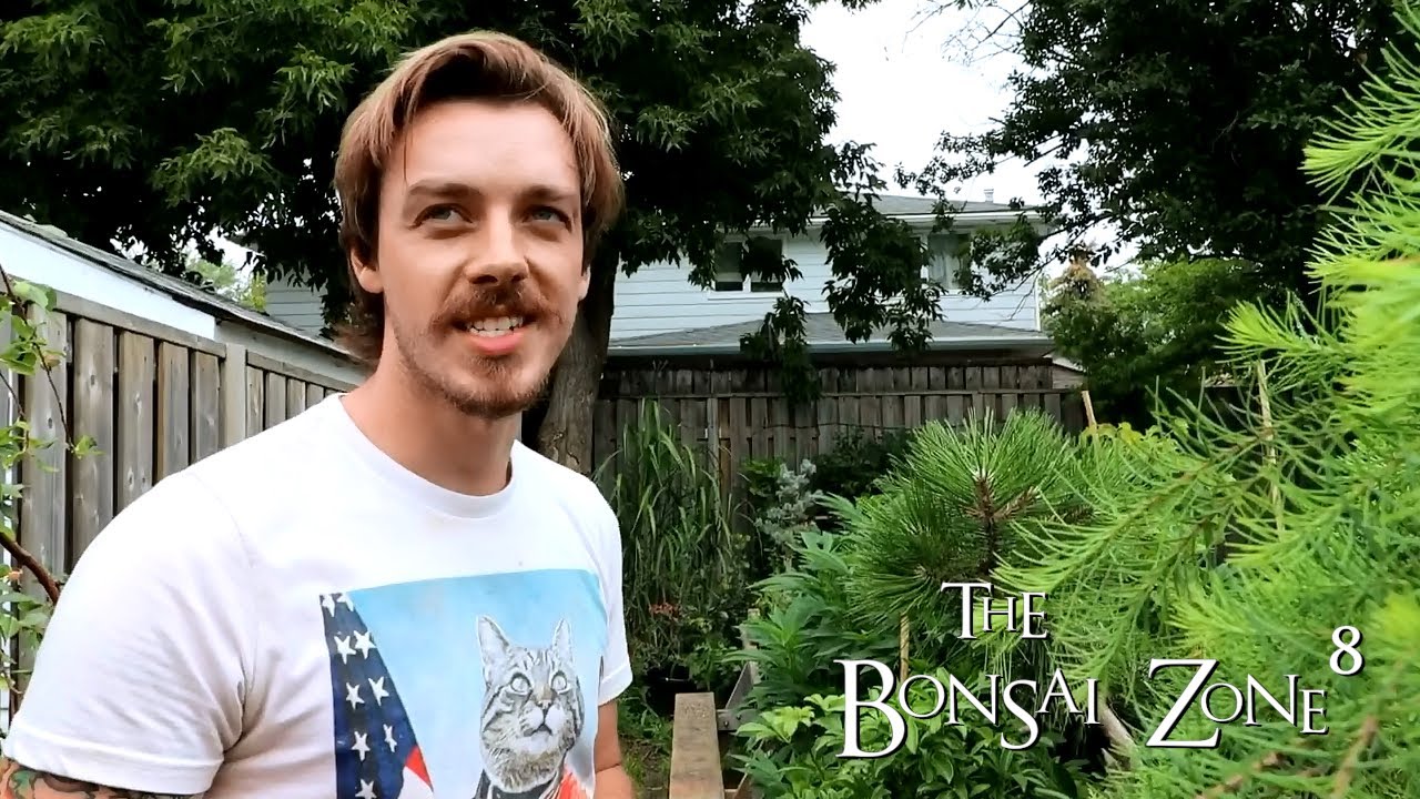 Connor's Bonsai Bench Tour, Part 3, The Bonsai Zone, Aug 2021