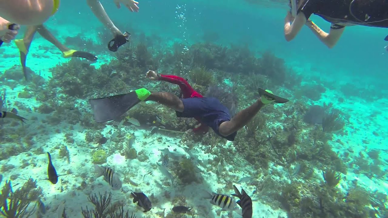 GoPro HD: Grand Cayman Snorkeling with Red Sail Sports