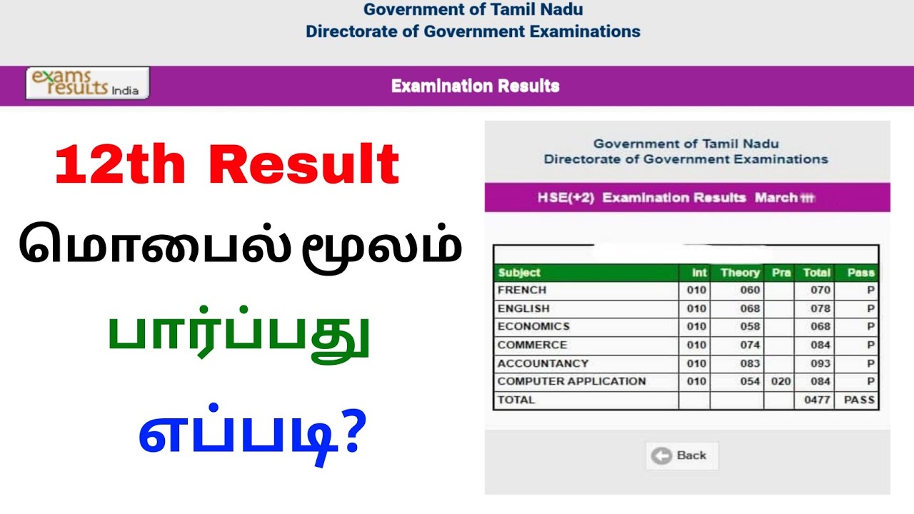 12th result check online tamilnadu | how to check 12th result 2026 | Tricky world