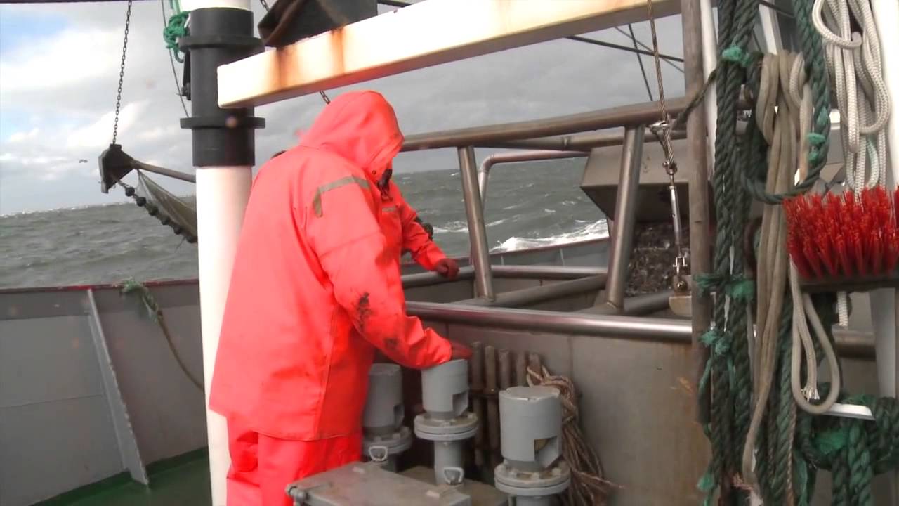 Fiskeri med bomtrawl - Fiskerimetoder og sikker adf&aelig;rd