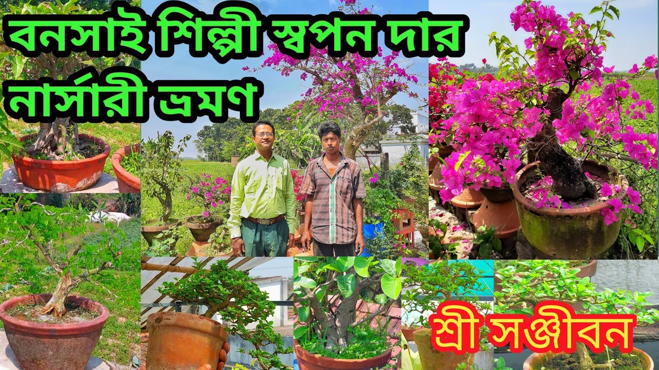 Swapan Shee's Bonsai Nursery Tour ||Sree Sanjiban||