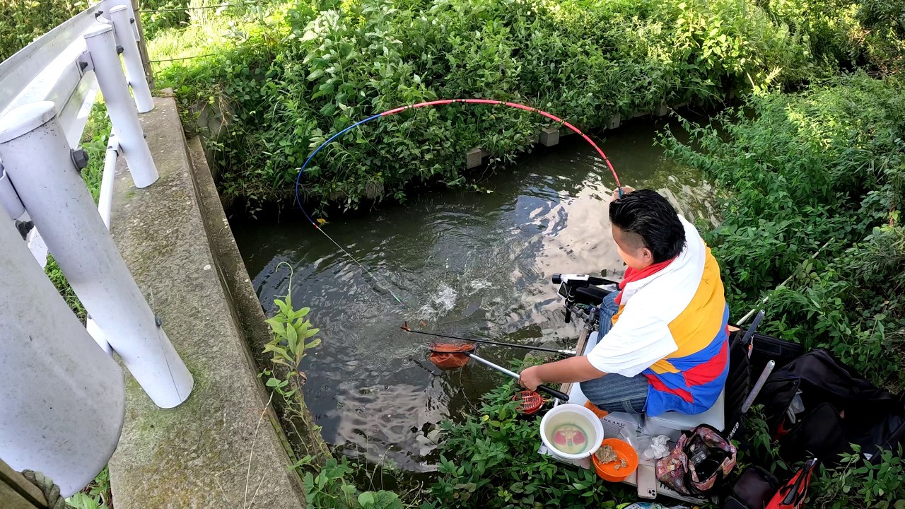 ゲリラ豪雨と落雷からの増減水で翻弄されまくった釣り【埼玉県加須市 会の川、浮野の里】