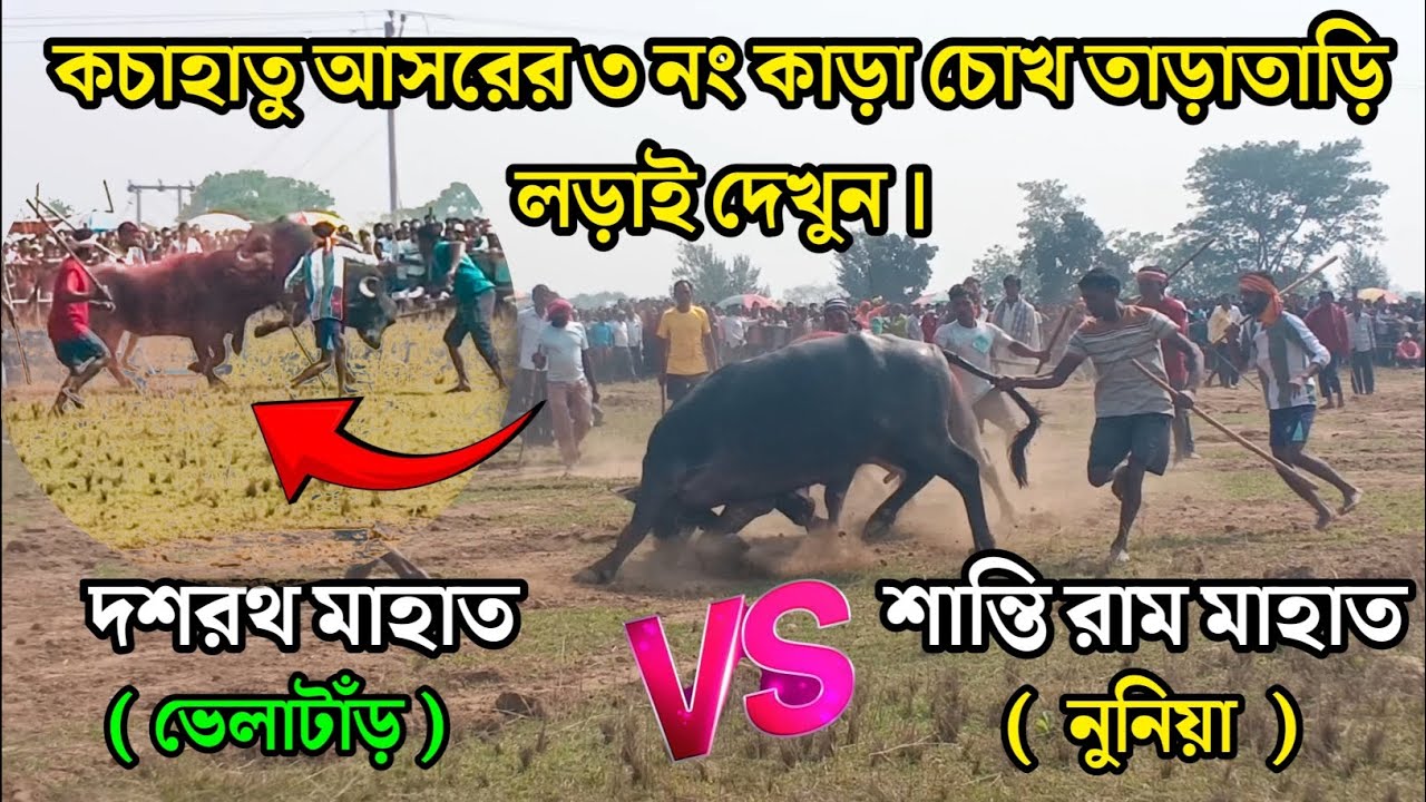 ২ মিনিটে ২বার পরাজিত করে খেলা শেষ করে দিল🌼দশরথ মাহাত ( ভেলাটাঁড়) বনাম শান্তি রাম মাহাত ( নুনিয়া )