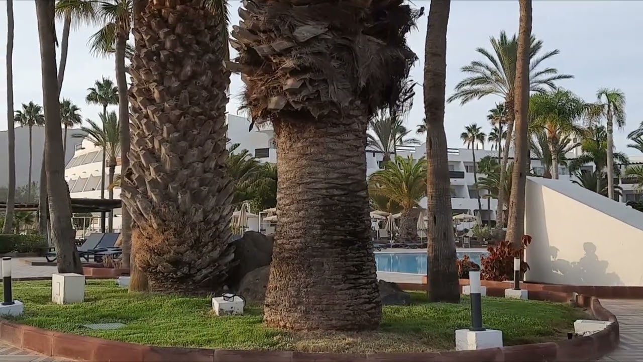 H10 Timanfaya Palace #playablanca #lanzaroteisland #lanzarote #hotel #h10 #swimmingpool
