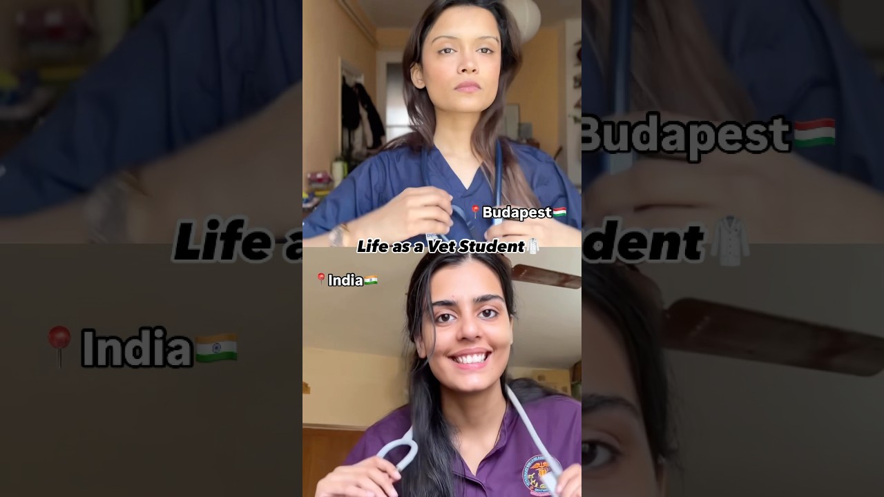 Life as Vet Students (India X Budapest) @YoursVeterinarily 🥼🩺#vet #vetstudent #viral #trending
