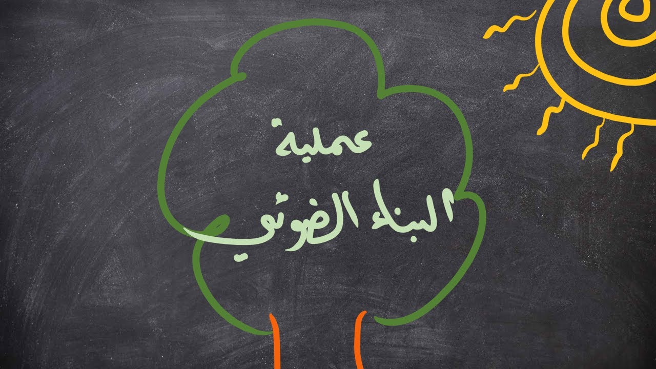 عملية البناء الضوئي | شرح مختصر