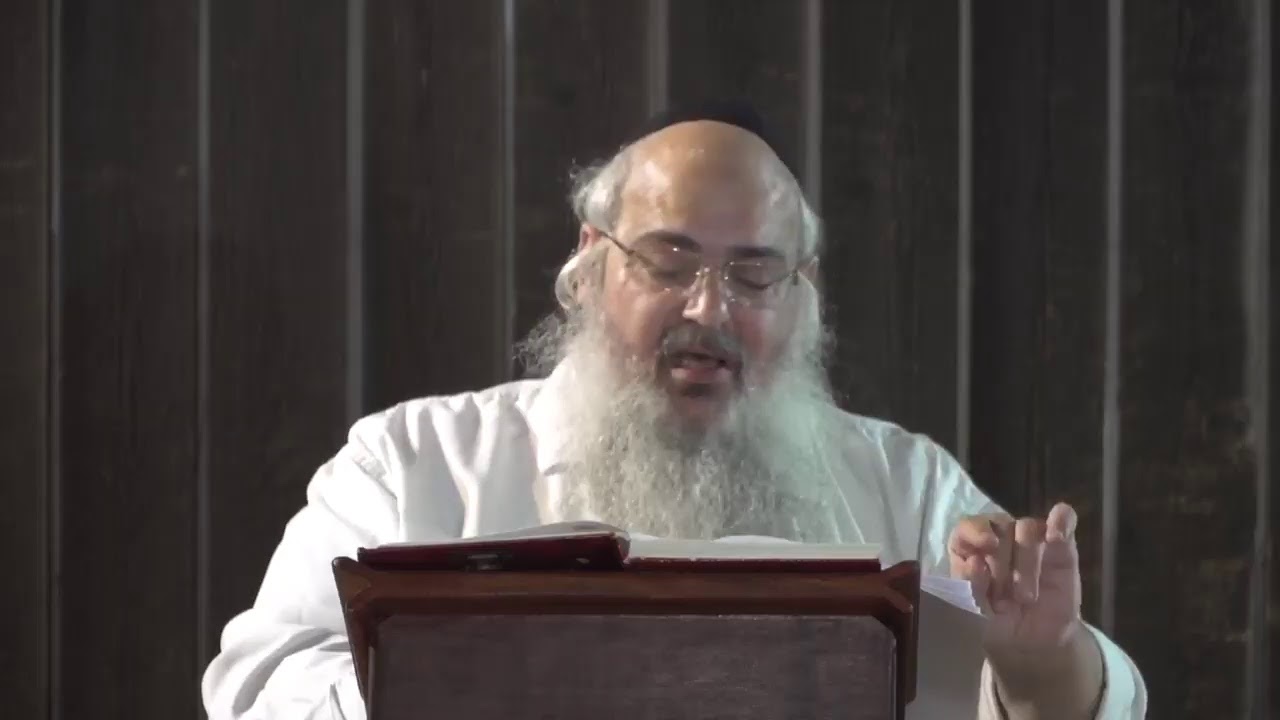 שידור חי - פנינים מפרשת נח תשפ