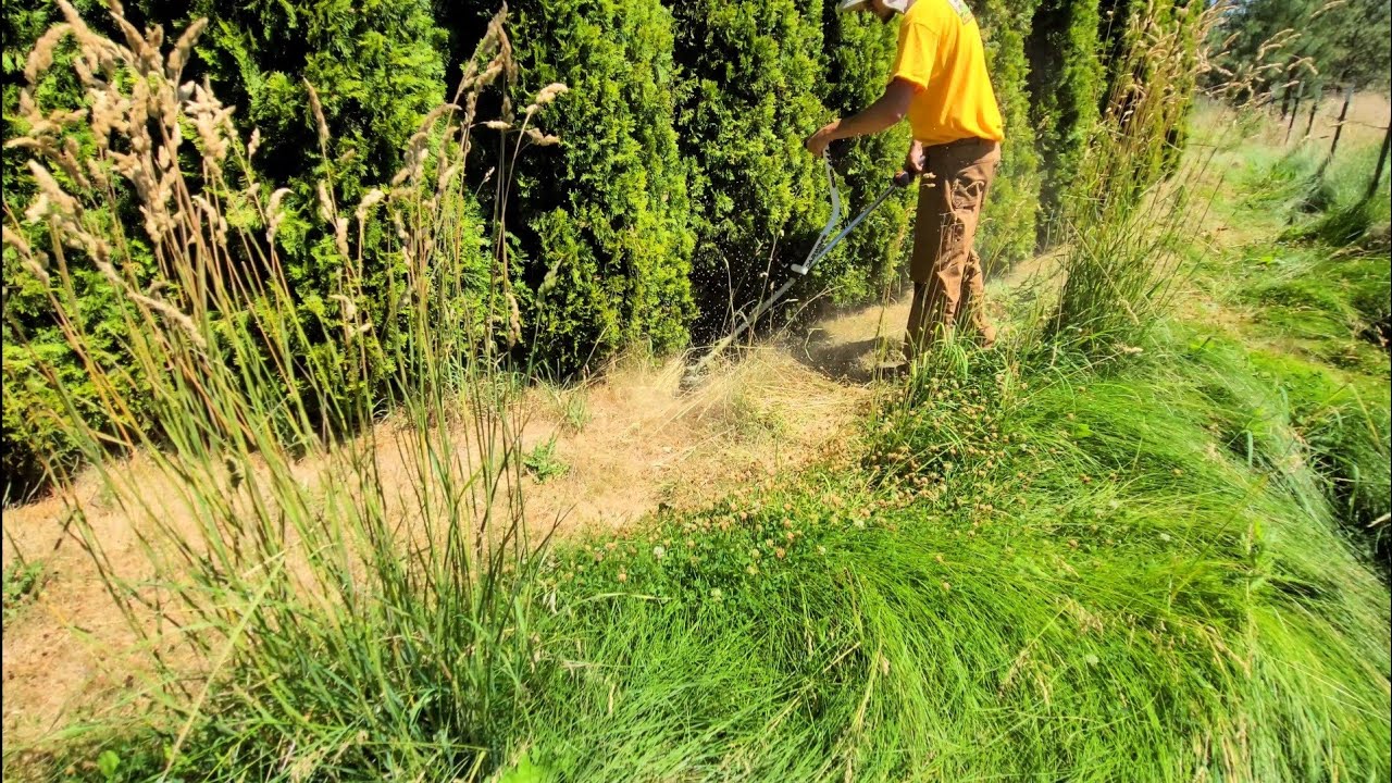 Mowing My Grandpa's Overgrown Lawn For FREE | Satisfying Yard Transformation