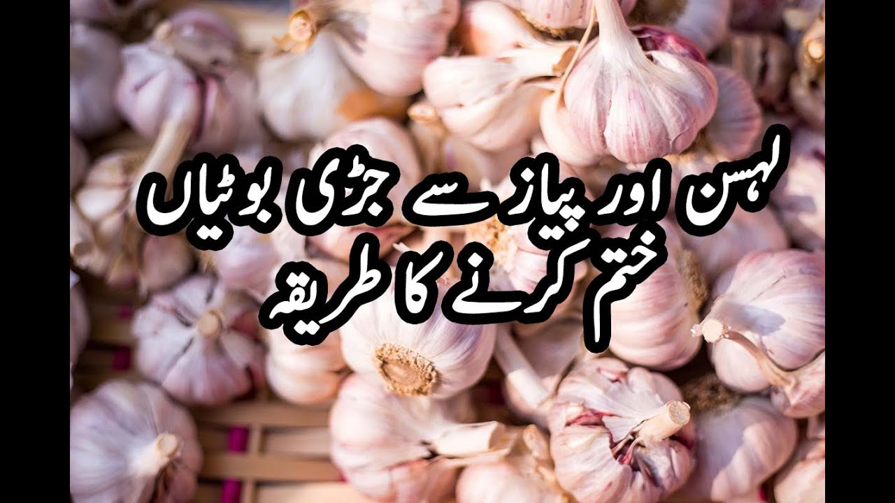 Weeds Management in Garlic and Onion crop | Get more Production From Garlic and Onion Crop |