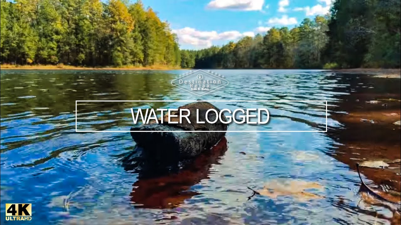 Water logged Relaxing study music | 4K