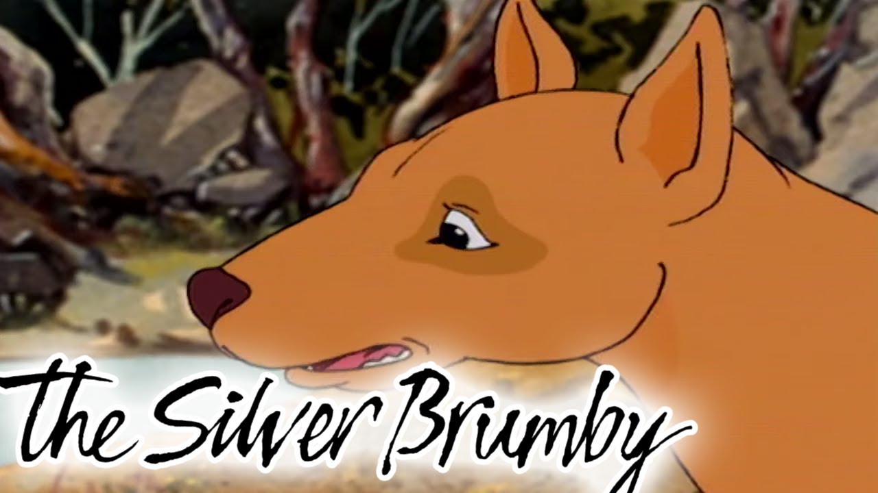The Silver Brumby | Flight to Freedom 🐎| HD FULL EPISODES