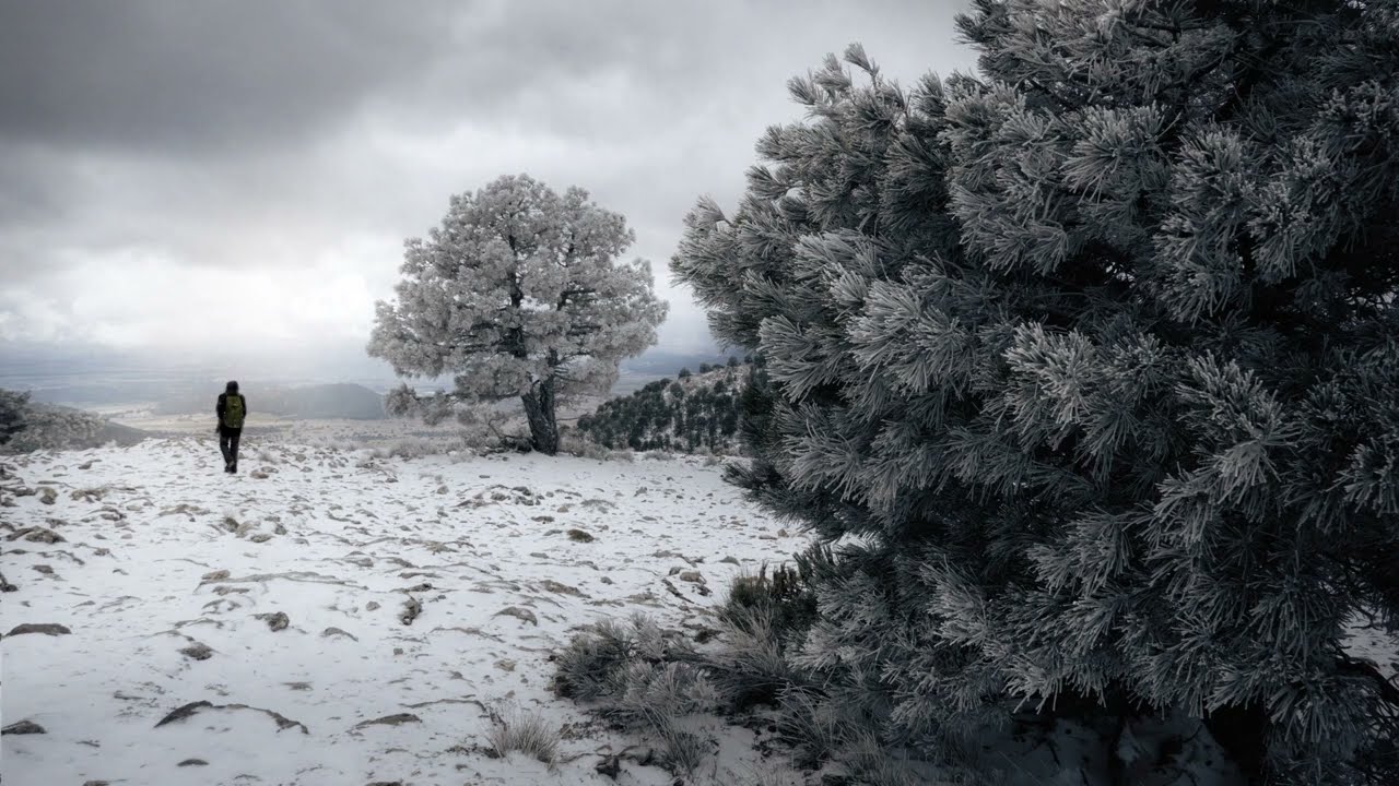 «Auld Lang Syne» - Tradicional Escocesa