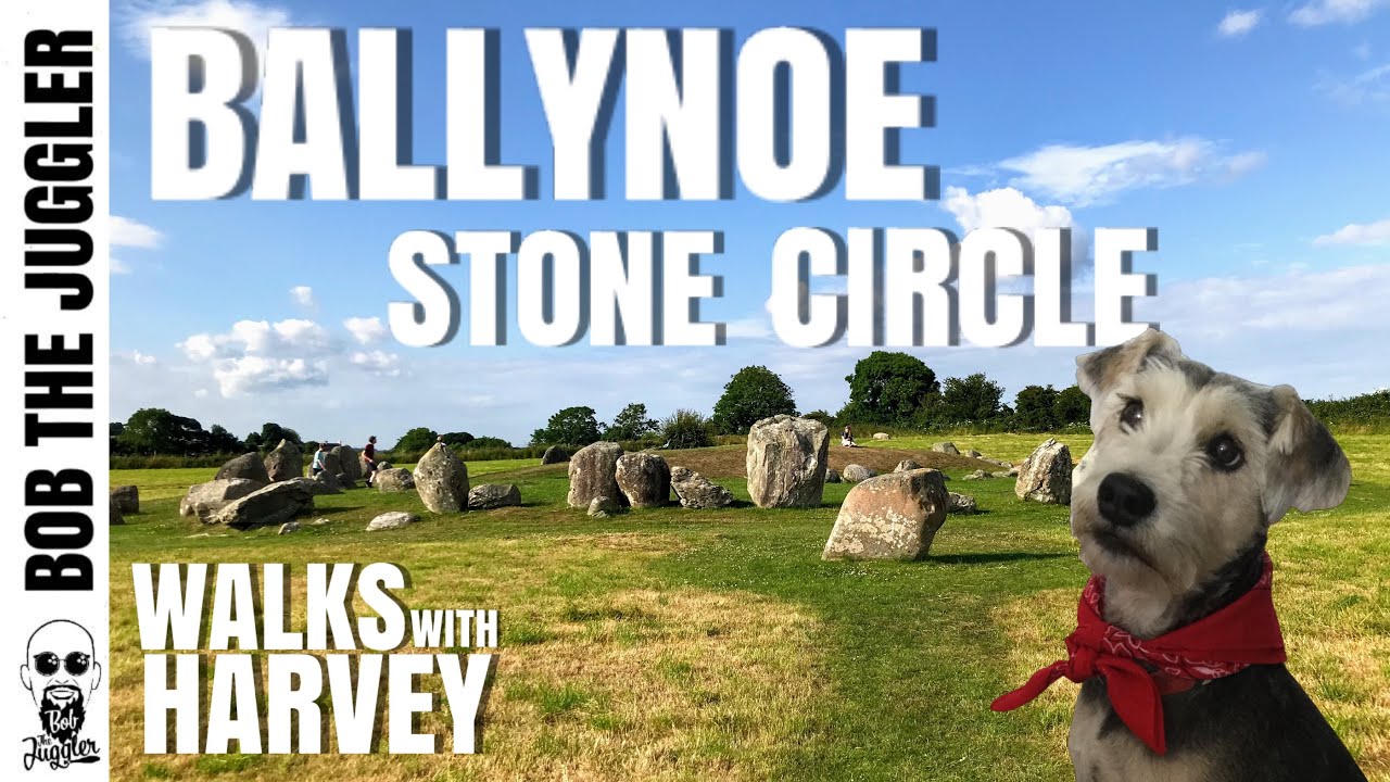 Walks with Harvey - Ballynoe Stone Circle