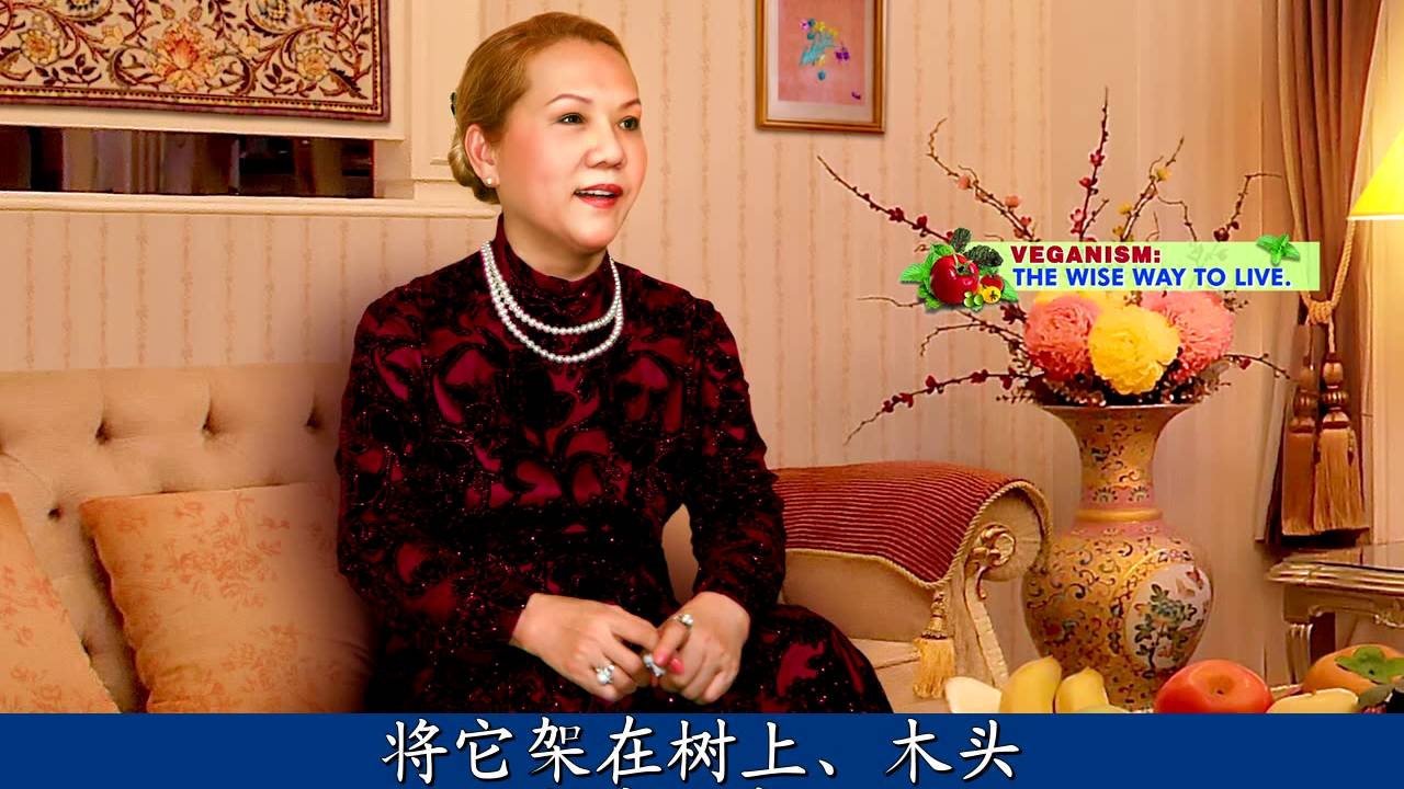 寬恕他人，心懷仁慈（三集之一）（中文大字幕）（part1of3)Be Forgiving and Merciful