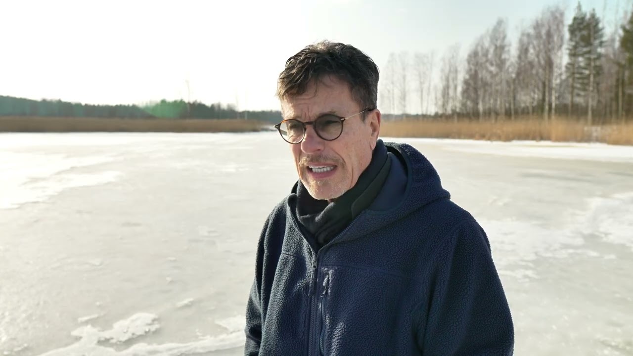 MUUTTOLINTUJA, SOTAA, EI SOTAA, SOTAA