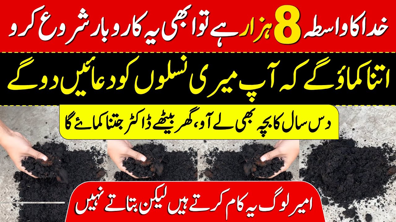 New Business Ideas in Pakistan 2025  | New Profitable Business Ideas 2025 | Smart Business Ideas