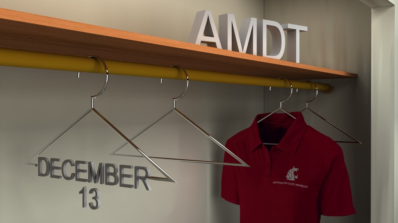 AMDT Presentation