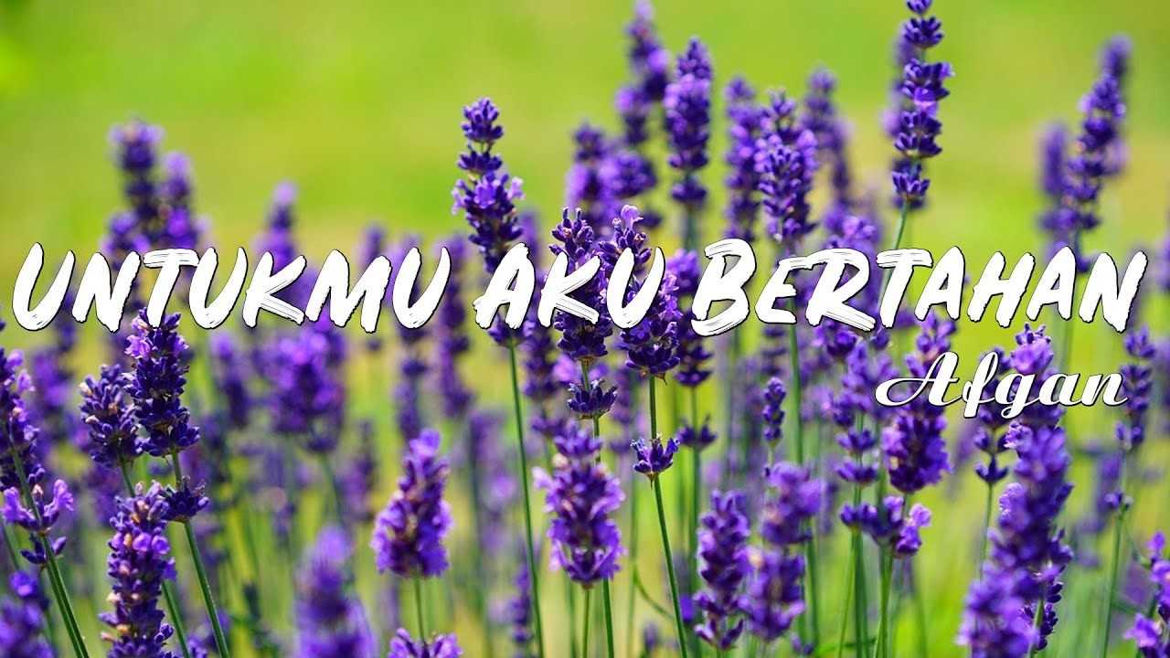 Afgan - Untukmu Aku Bertahan | Lirik Lagu Indonesia