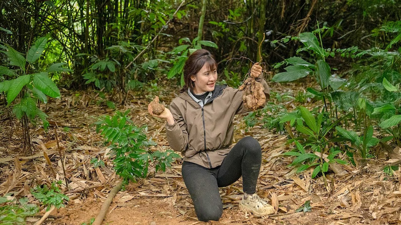 Building a Dream Home Out of Trees in the Tropical Rainforest – A Secluded, Safe Haven | Mss Lucia