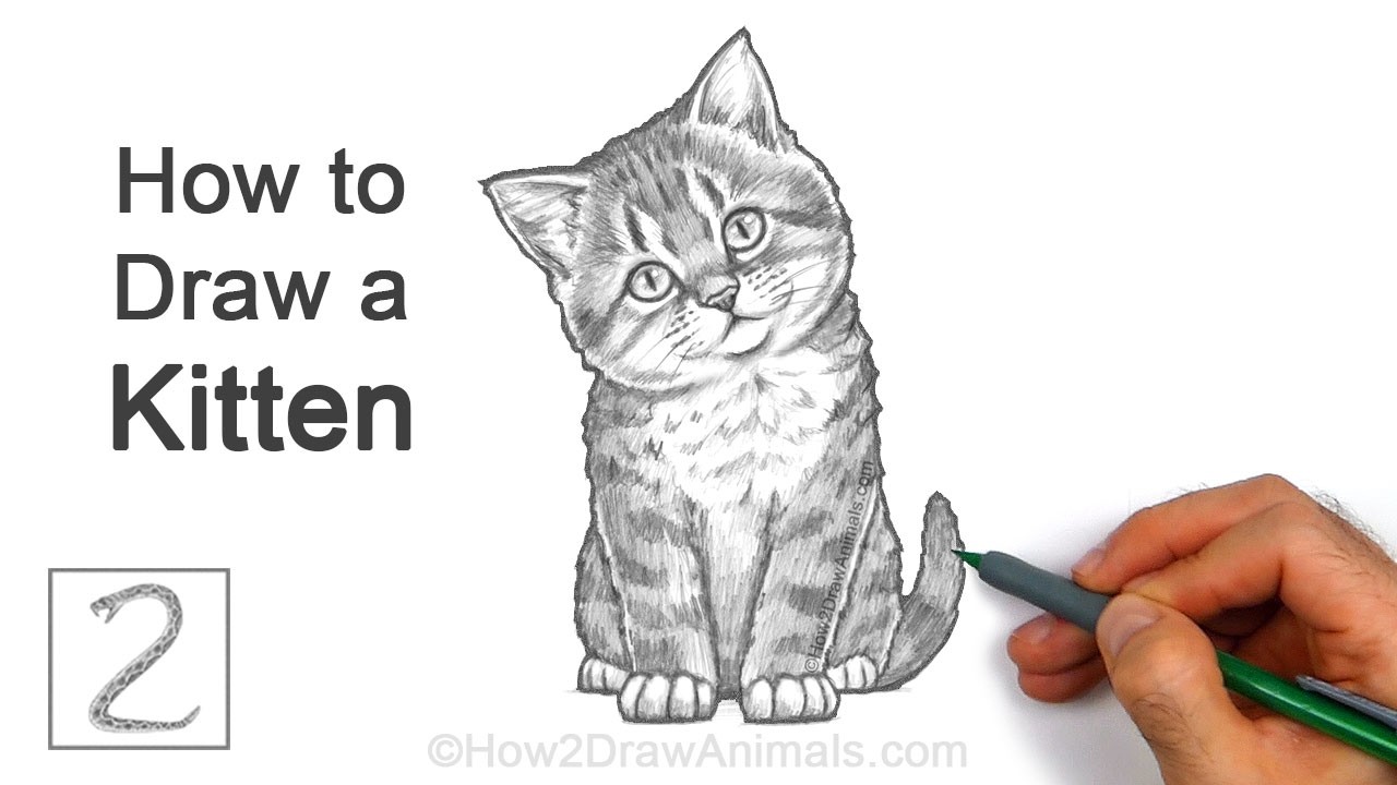 Realistic Kitten Pencil Drawing  | Easy Step-by-Step