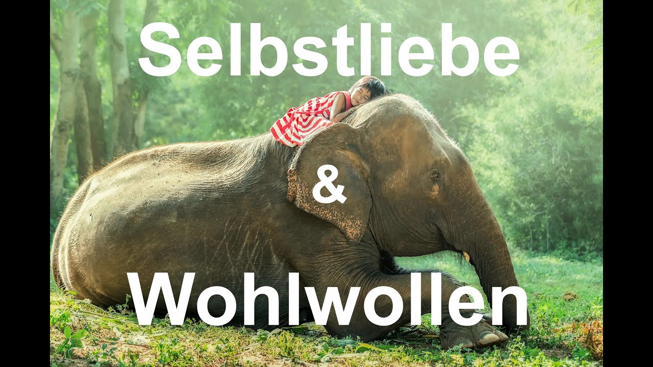 Metta Meditation zu liebevoller Güte & Mitgefühl aus dem MBSR Achtsamkeitstraining