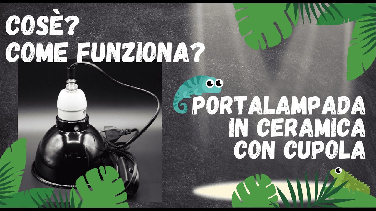 CUPOLA CON PORTALAMPADA - COSE' COME FUNZIONA - BASSI GARDEN