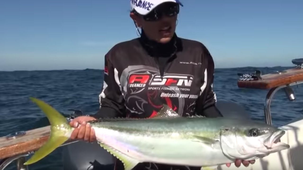 Targeting Yellow Tail off Cape Point | ASFN Deep Sea
