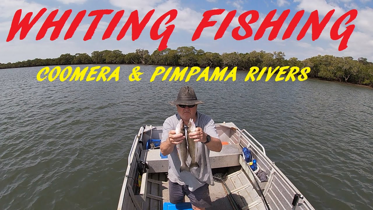 FISHING COOMERA AND PIMPAMA RIVERS 19TH SEPT 2025