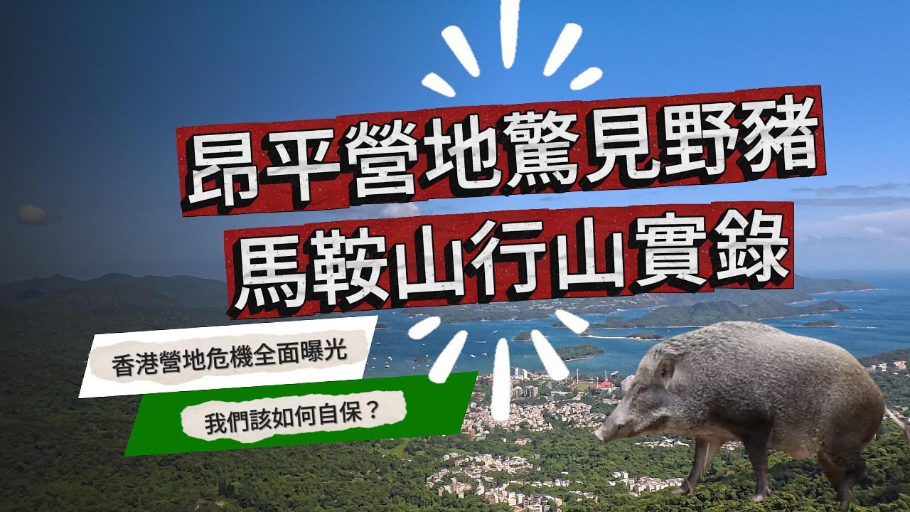 行山 ：昂平營地驚見野豬群｜馬鞍山行山實錄｜香港營地危機全面曝光｜我們該如何自保？｜Wild Boar Sightings at Ngong Ping Campsite