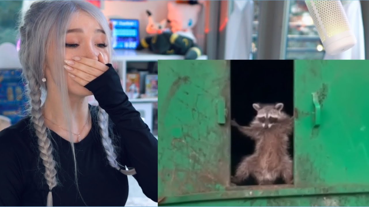 Funniest Internet Clips REACTION!!!
