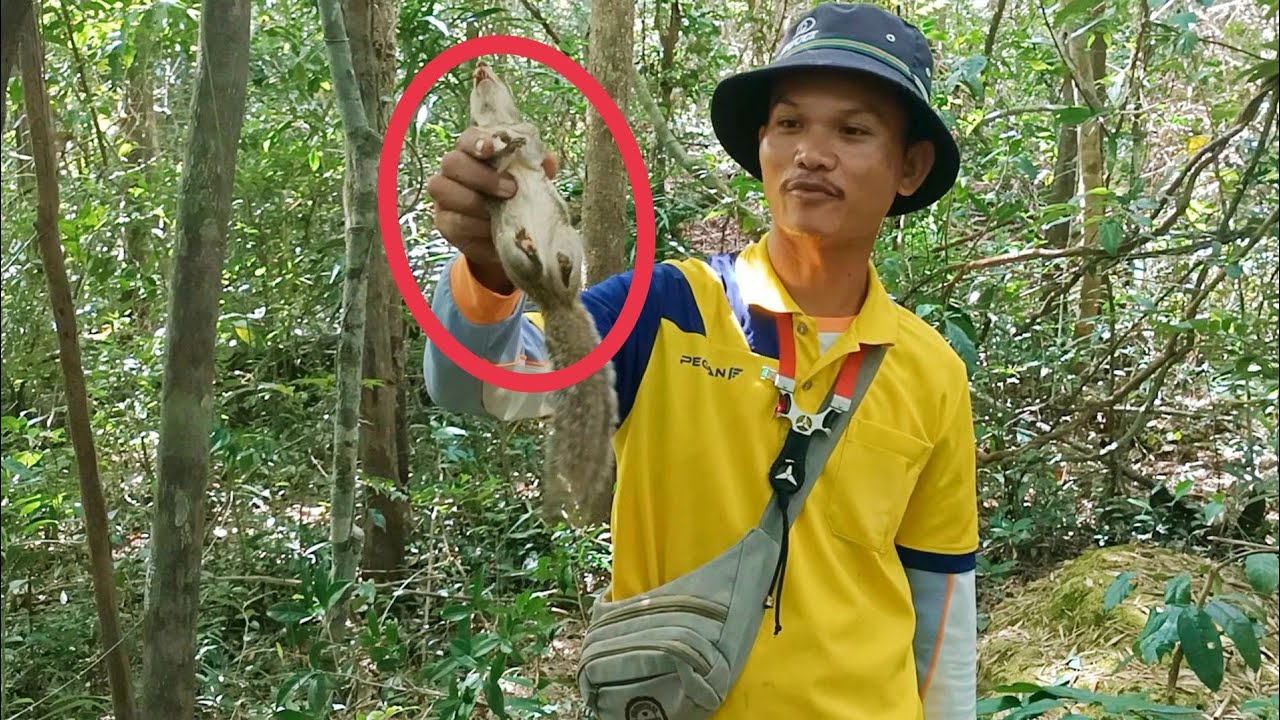 วิธีทำกับดักกระรอกกระแต แบบโบราณทำง่ายมากๆแต่ได้ผลโคตรดี
