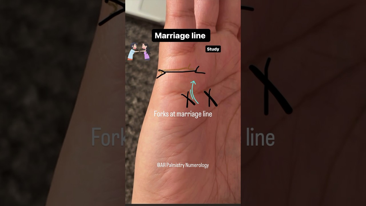 Forks at marriage line  #palmistry #shorts #videos #online #learn #love #instagood