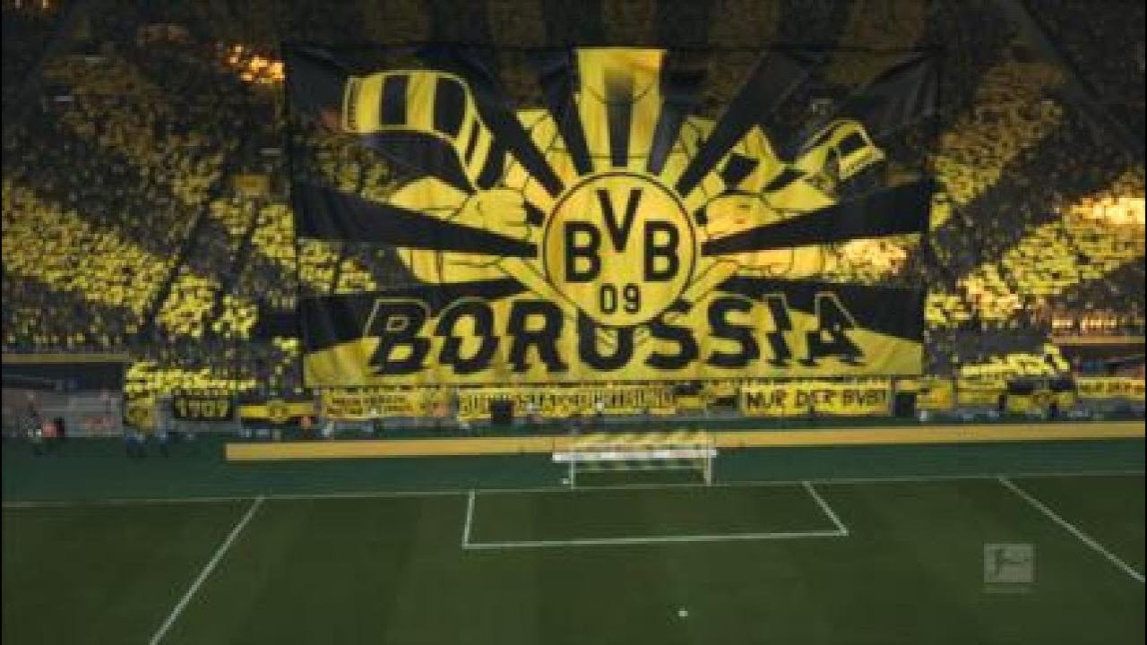 Bayer Munique x Borussia D