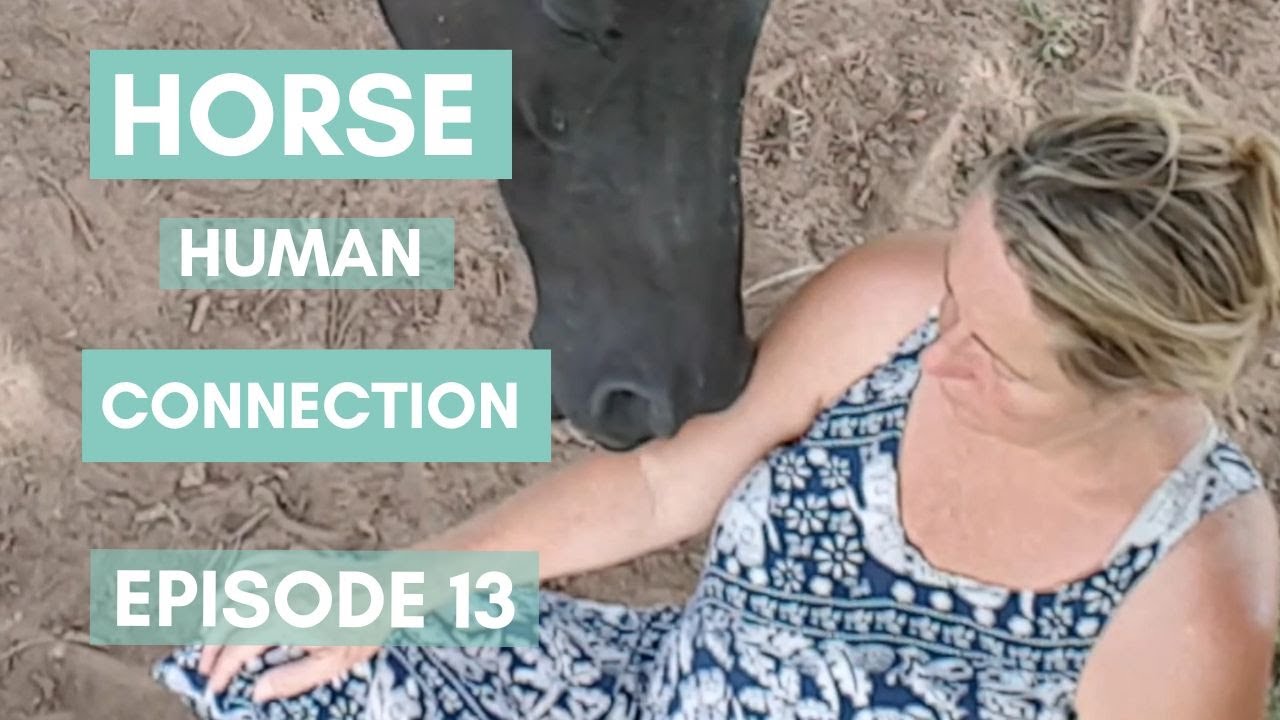 Horse Human Connection Ep13