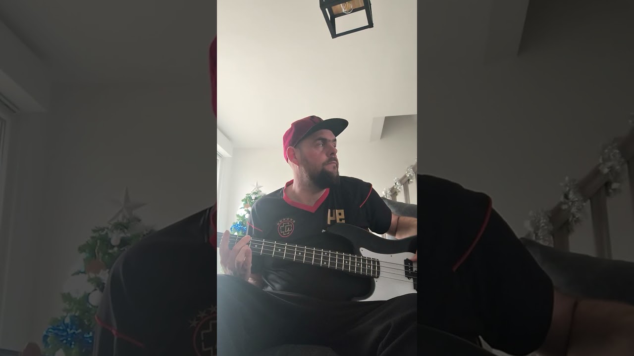 Was ich liebe cover basse 
