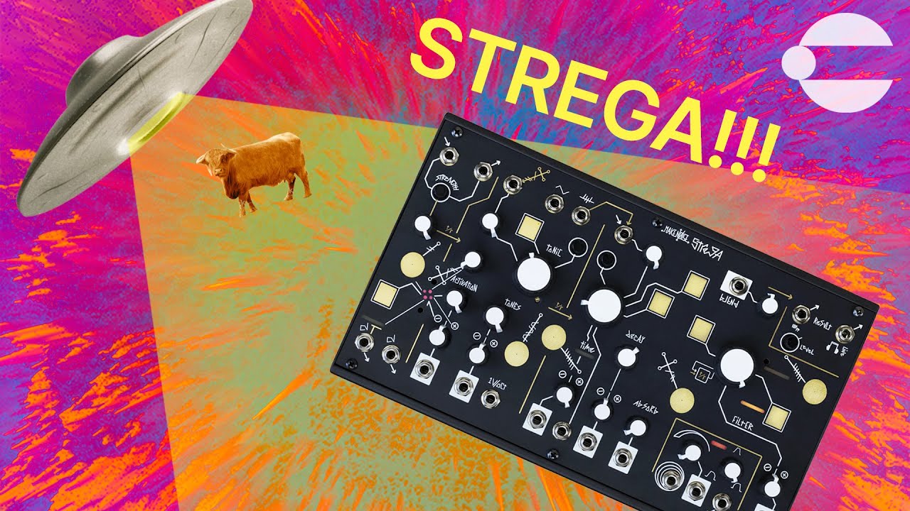 Make Noise Strega — мы сами были шокированы!