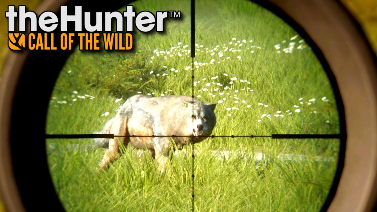 Atak watahy wilków | theHunter: Call of the Wild (#77)