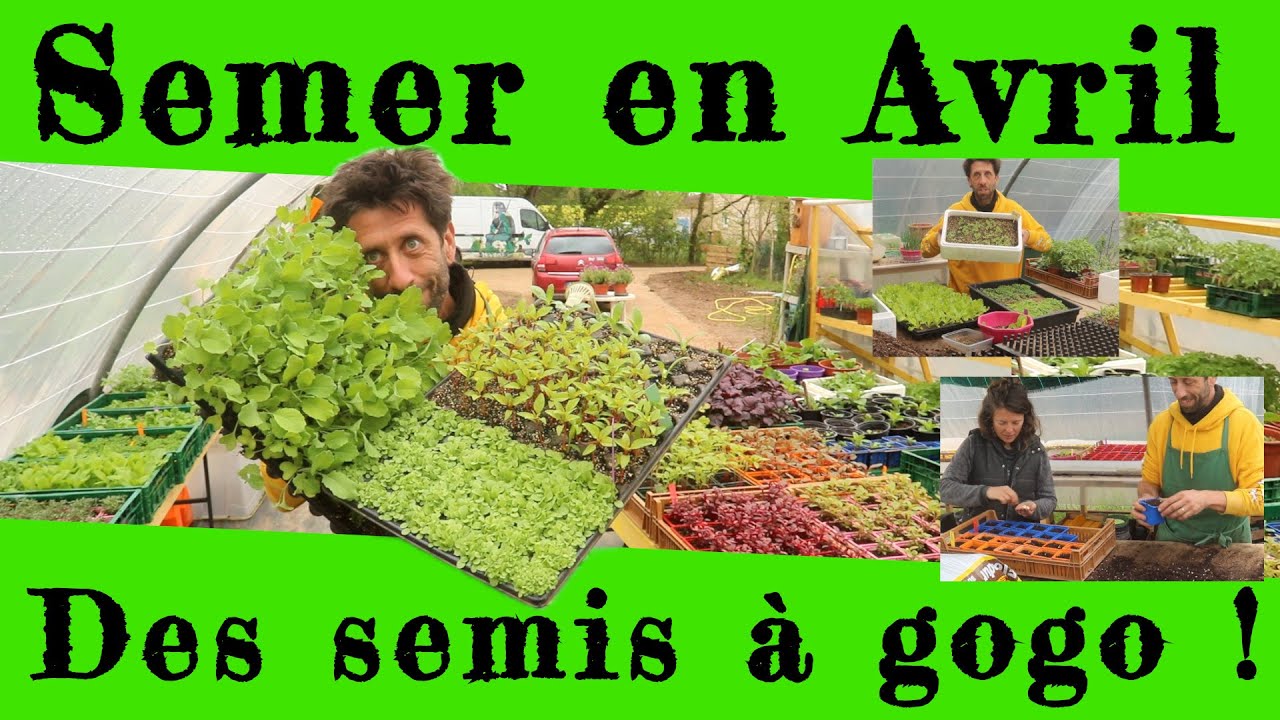 Semer en Avril, des semis à GoGo !