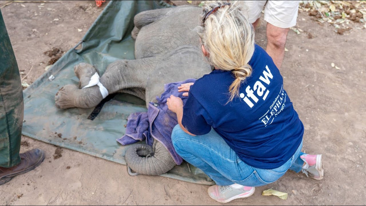 Together, we can safeguard homes for animals