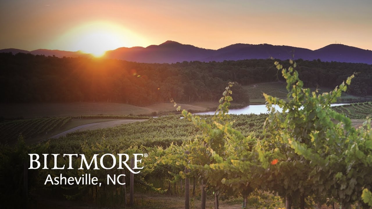 Virtual Tour: Biltmore Winery & Vineyards