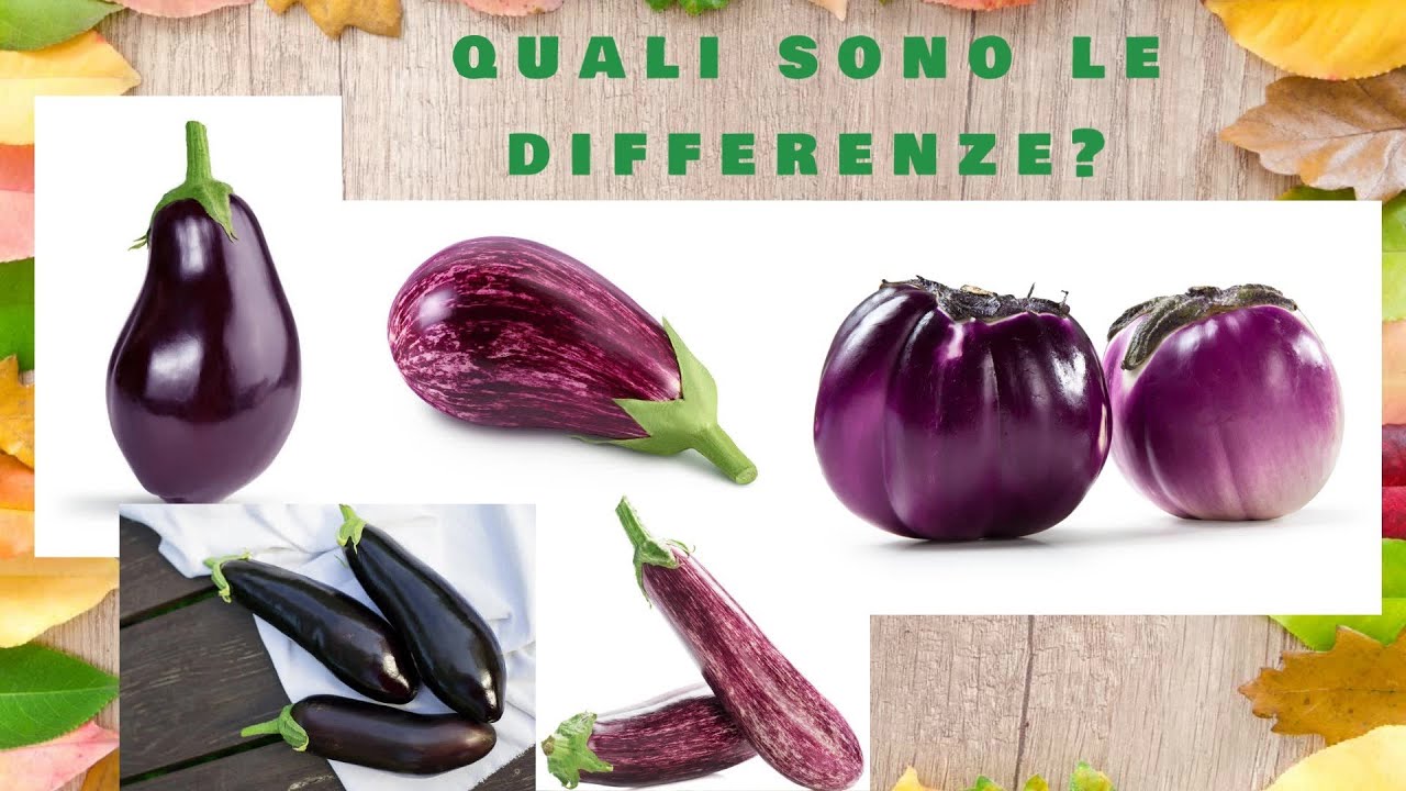 Melanzana nera, viola o striata? Quale e come scegliere per la tua ricetta!