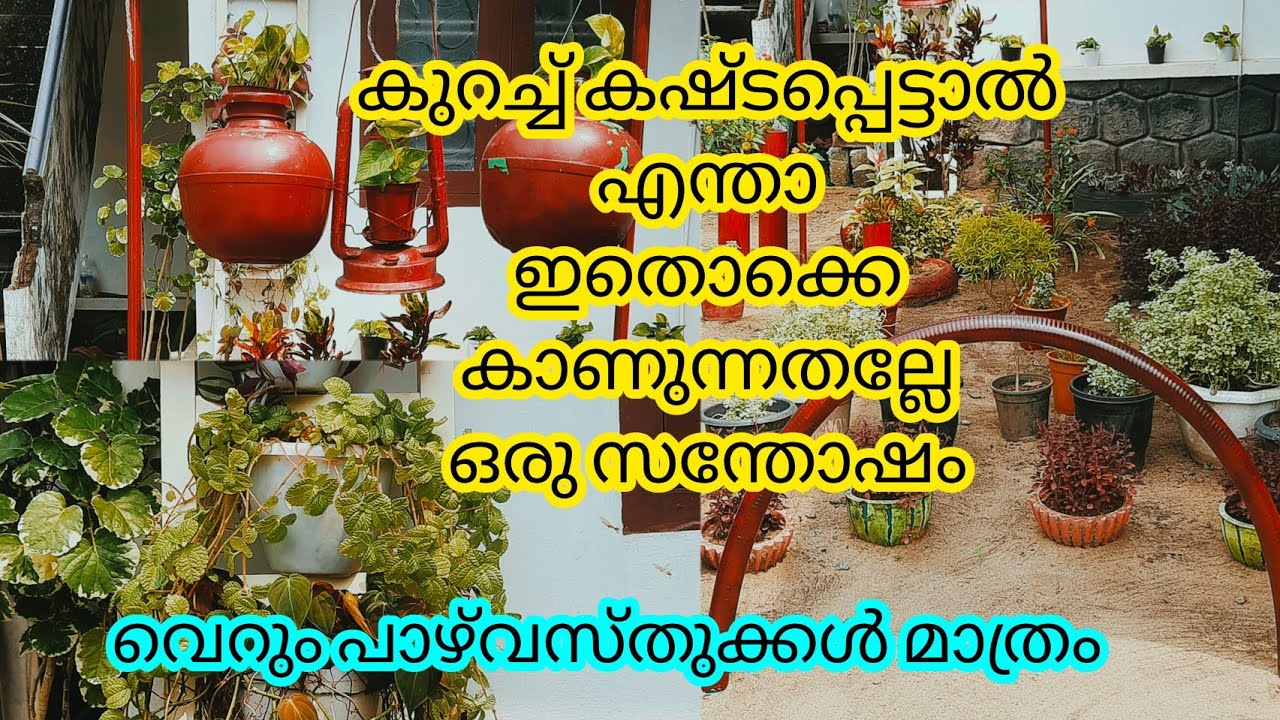 പൈസ ചിലവില്ലാതെ പാഴ് വസ്തുക്കൾ കൊണ്ട് ഒരു പൂന്തോട്ടം set ചെയ്താലോ|garden setting|waste material