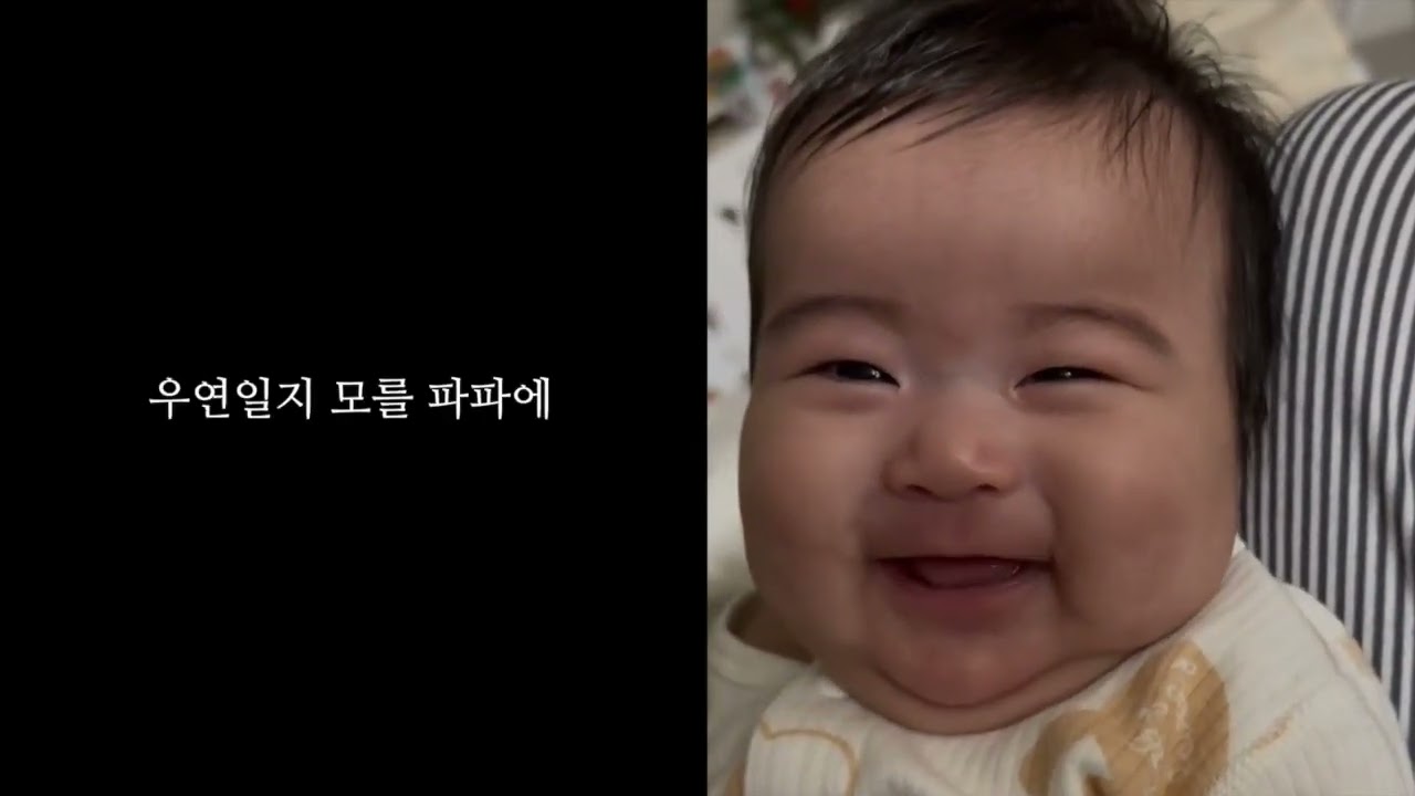 배지유 돌잔치 영상