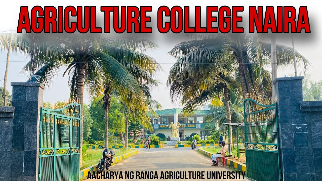 Agriculture college naira ,Srikakulam road Acharya N.G. Ranga Agricultural University,